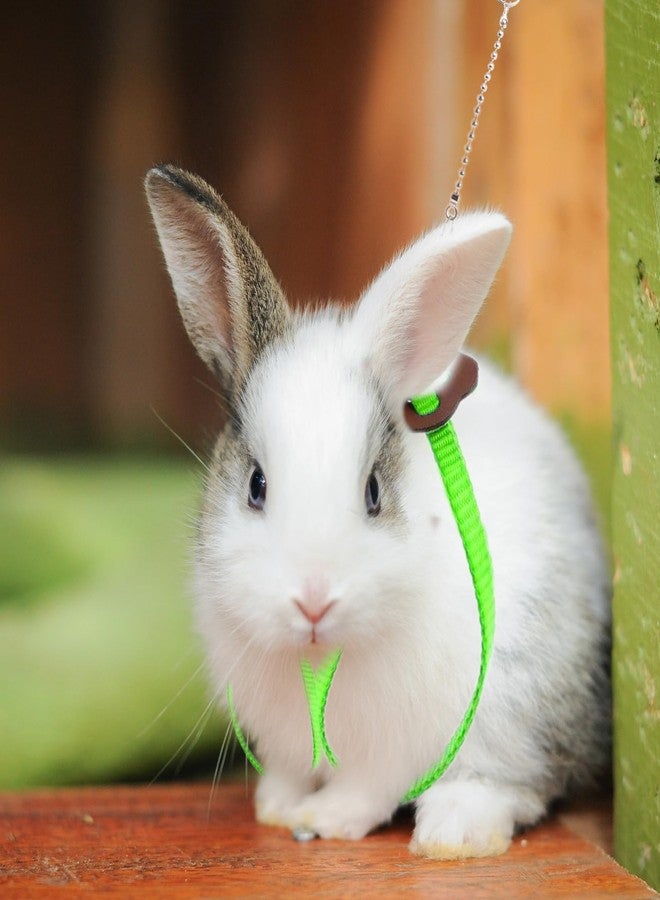 HOKABLE 2 Pack Adjustable Hamster Leash Harness for Harness for Ferret Baby Rabbit Hamster Rat Mouse Leash Lead with Bell (Green) - Image 5